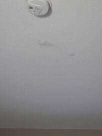 Dirt spot on ceiling