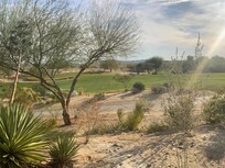 View from the patio behind the house.