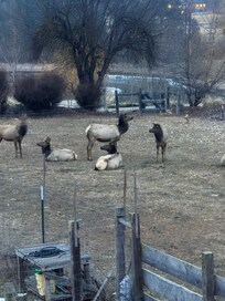 Did have some visitors this morning