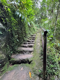 There are about 5 flights of stairs