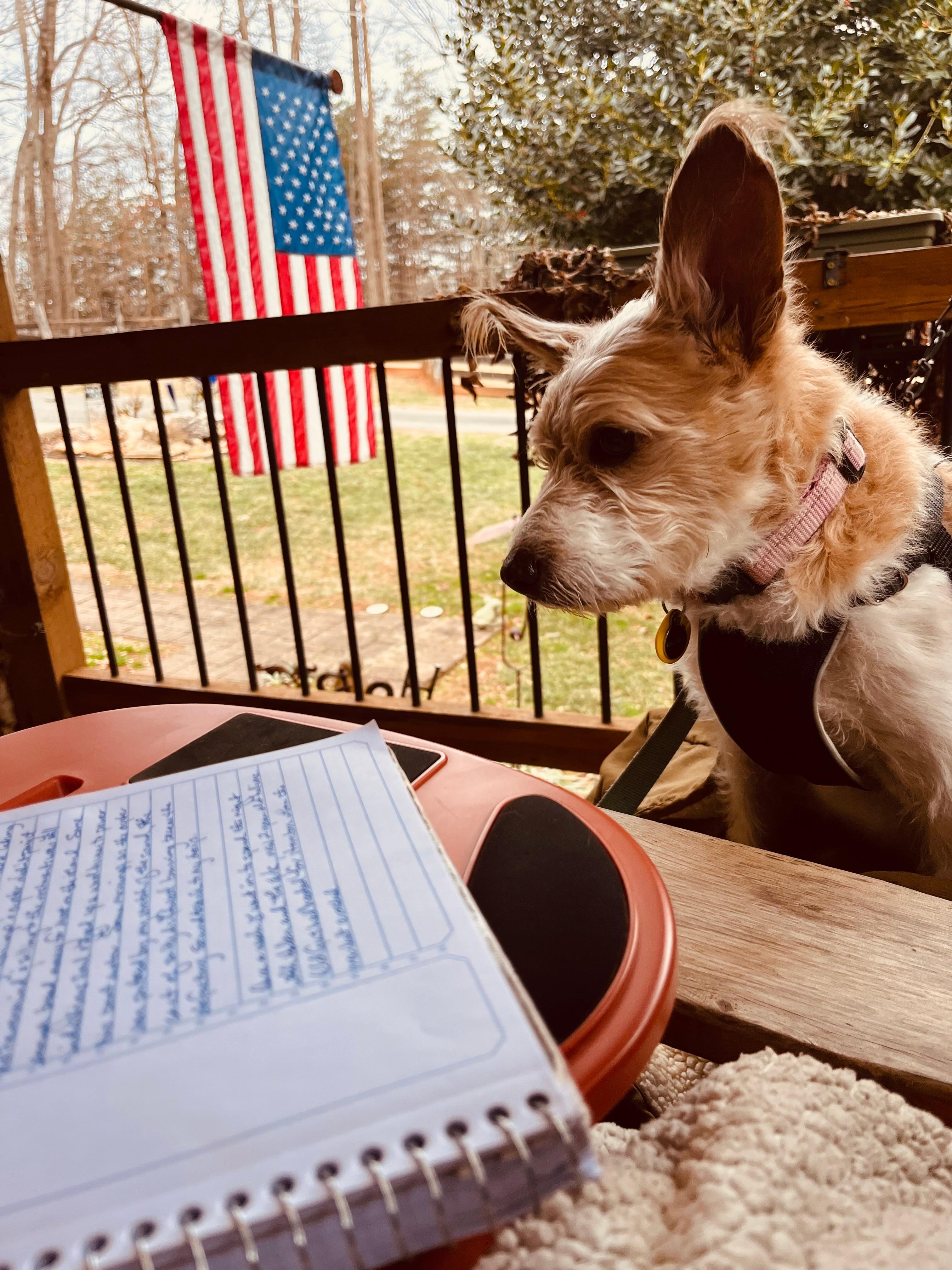 Two-seater porch swing is so nice to share with the pup!