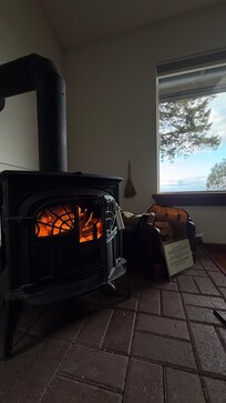 Wood stove