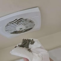 Støv fra ventilasjonsvifte på badet.