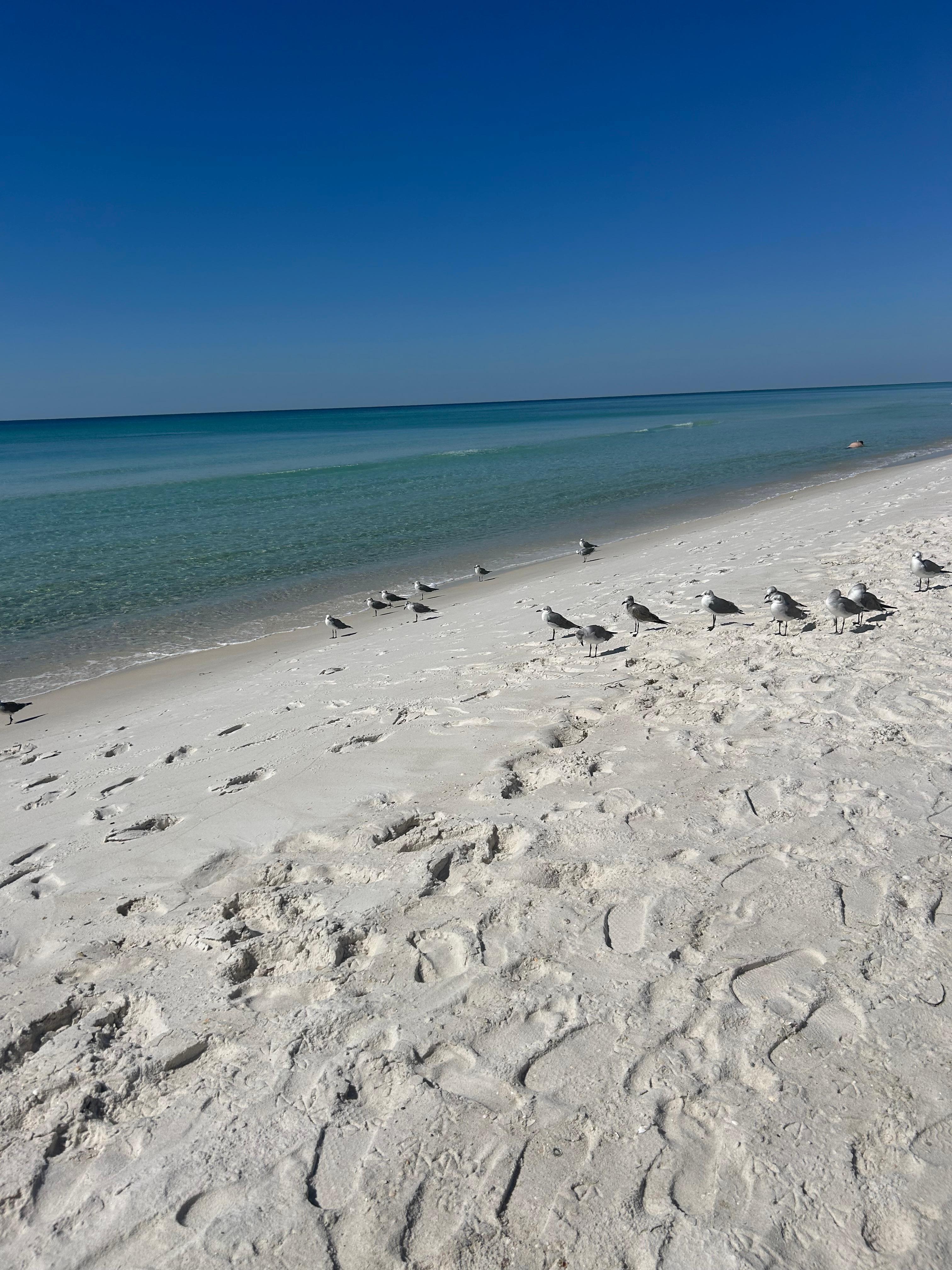 The ocean is so clear.