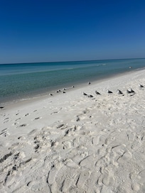 The ocean is so clear.