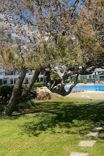Mysig trädgård och pool