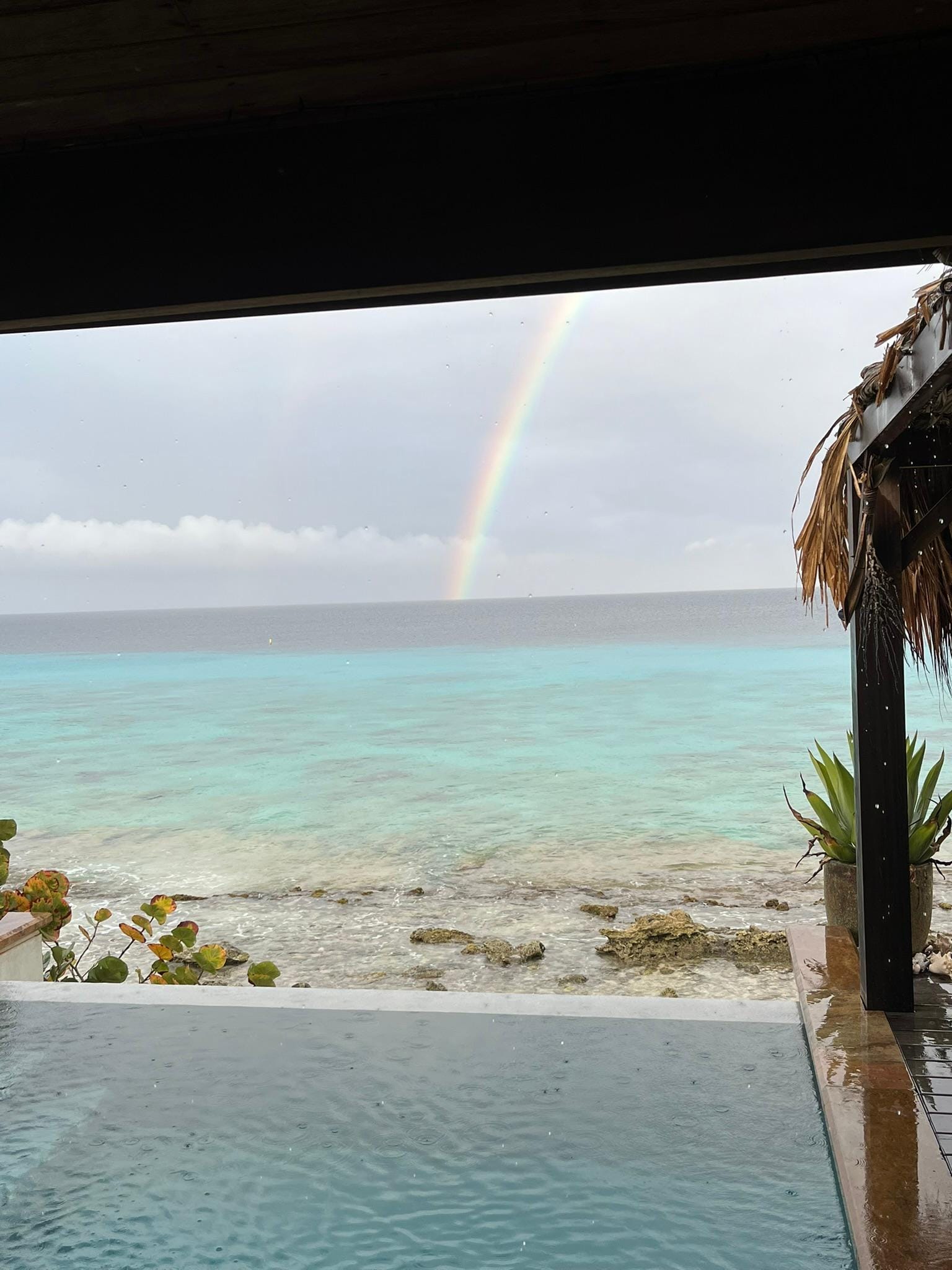 After rain shower 