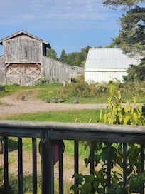 The view from the house