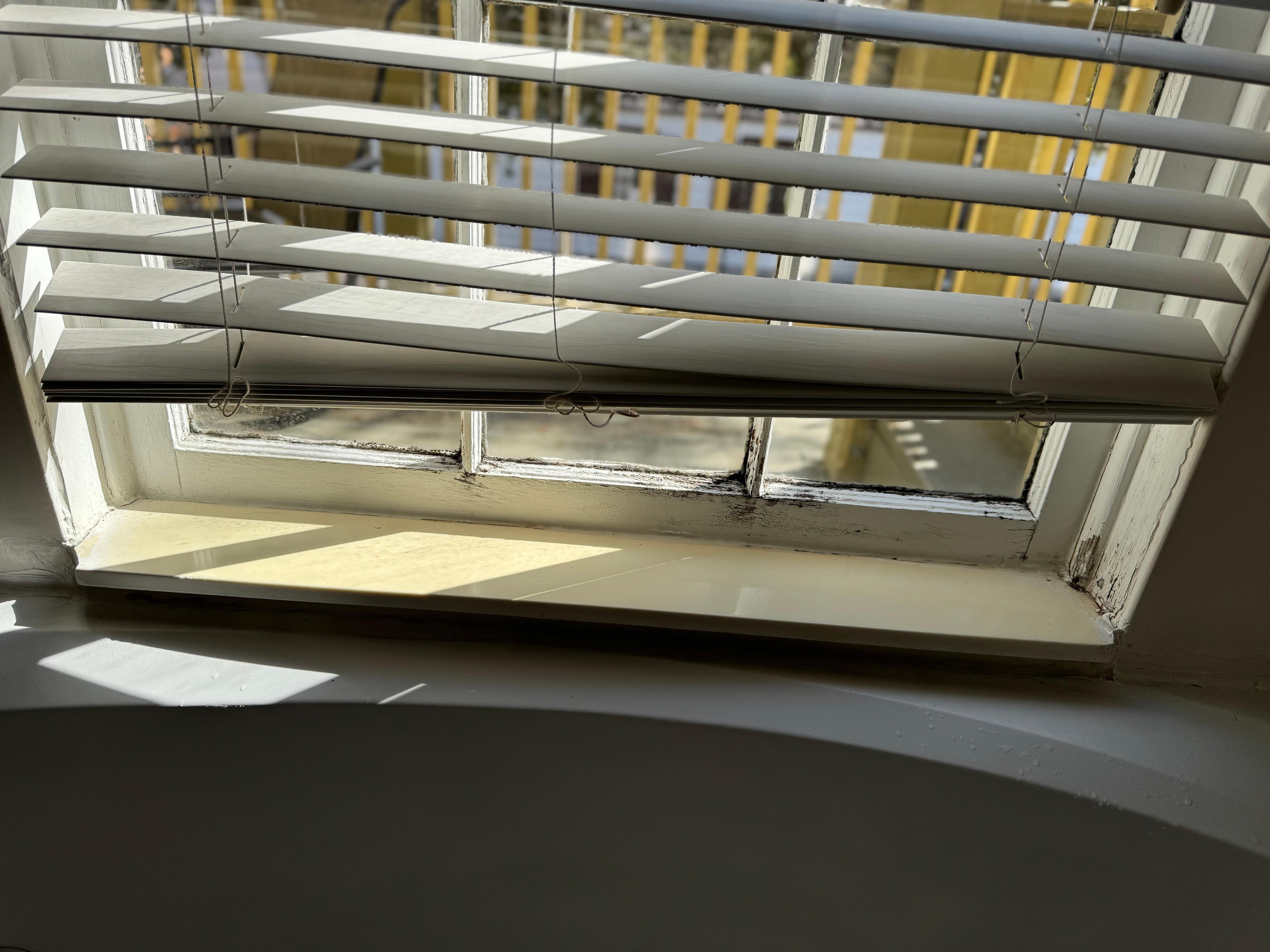 In desperate need of cleaning and maintenance 