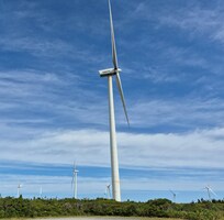 Large windmill farm on the Pubnico peninsula