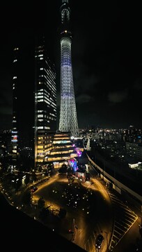 Sky tree view from the room window