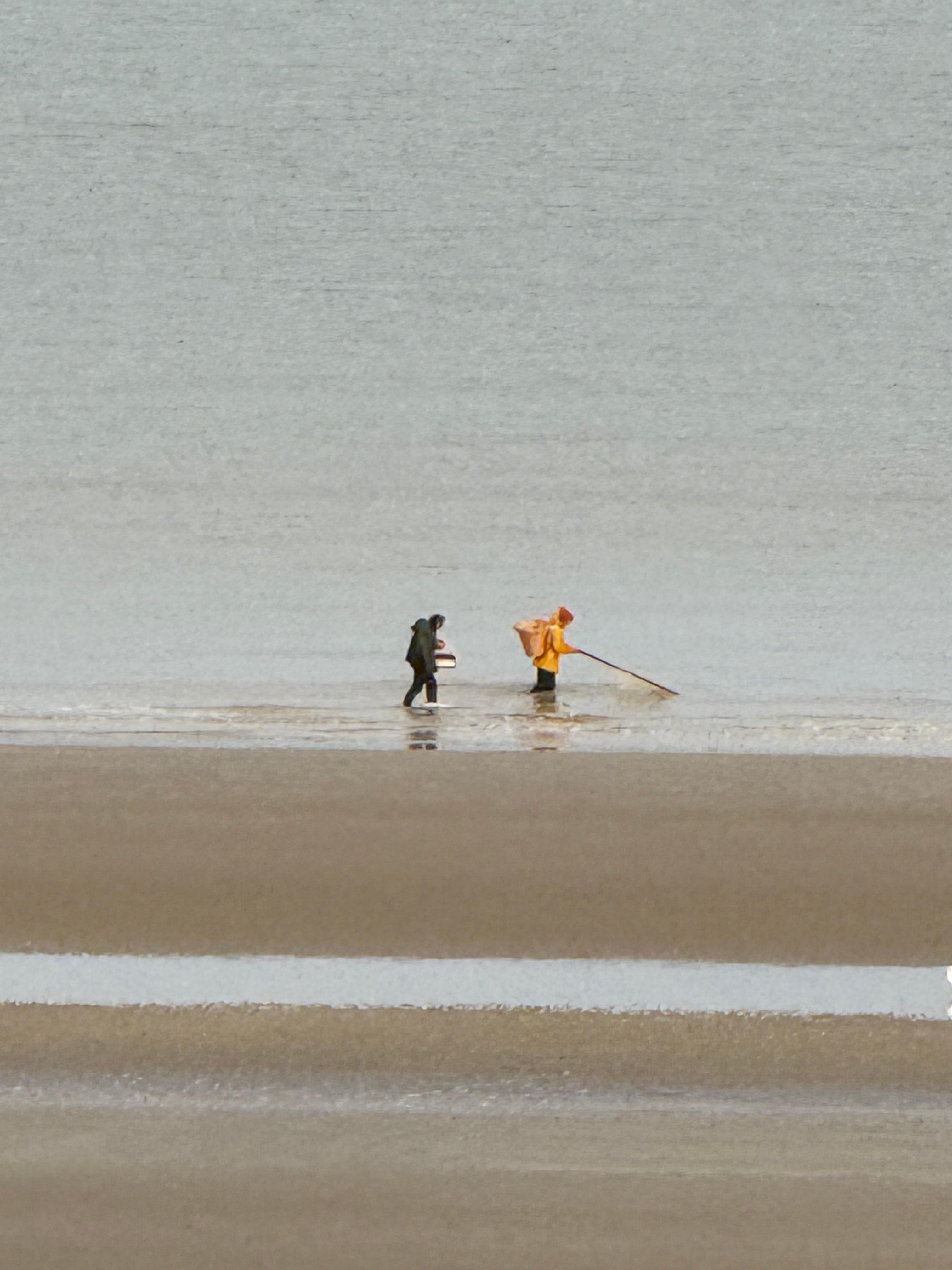 Jeden Tag werden Krabben geerntet