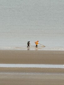 Jeden Tag werden Krabben geerntet