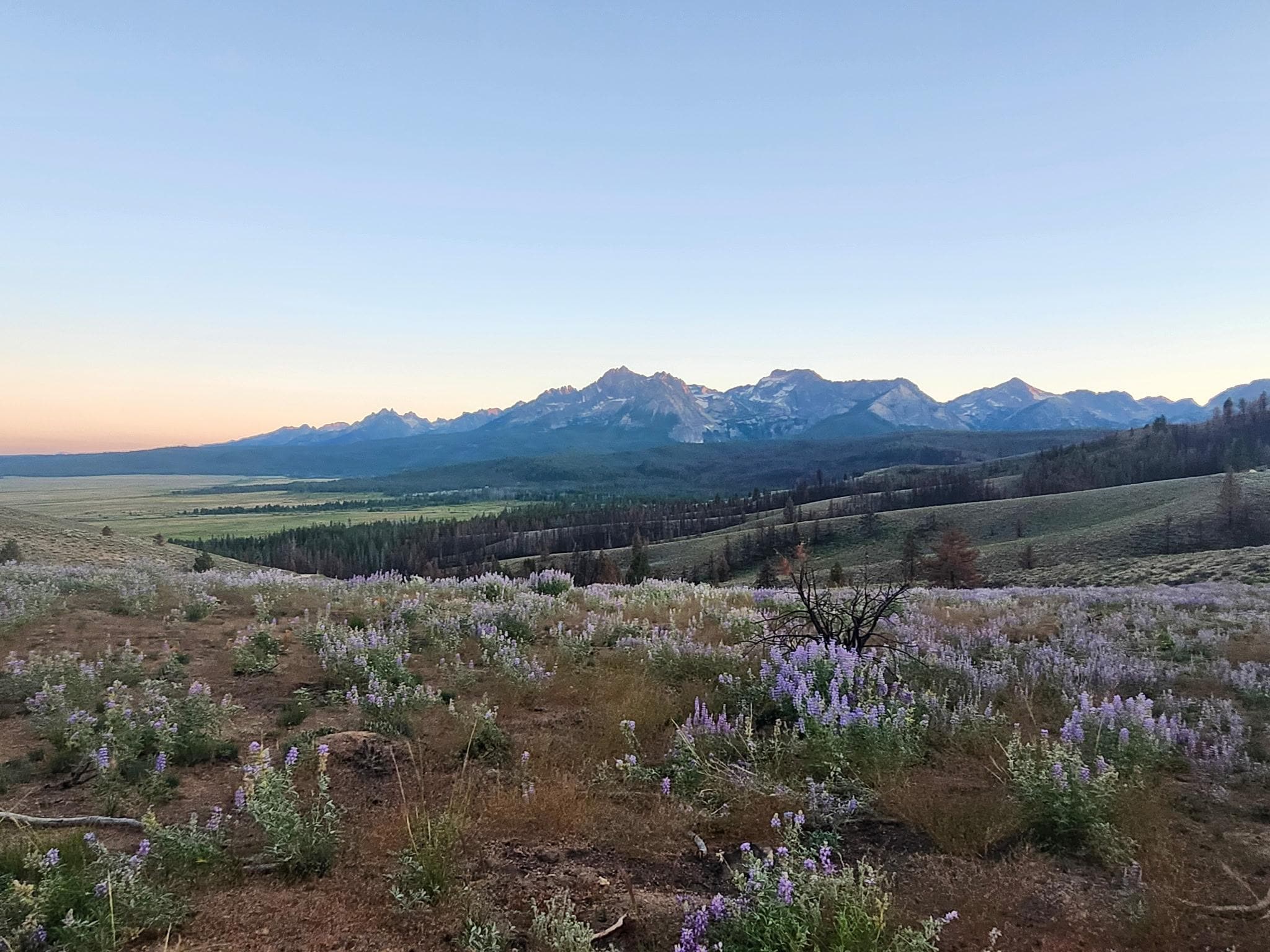 Not on the property but a drive nearby!