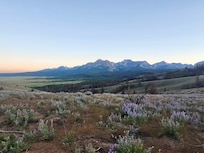 Not on the property but a drive nearby!