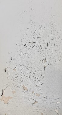 Paint peeling everywhere