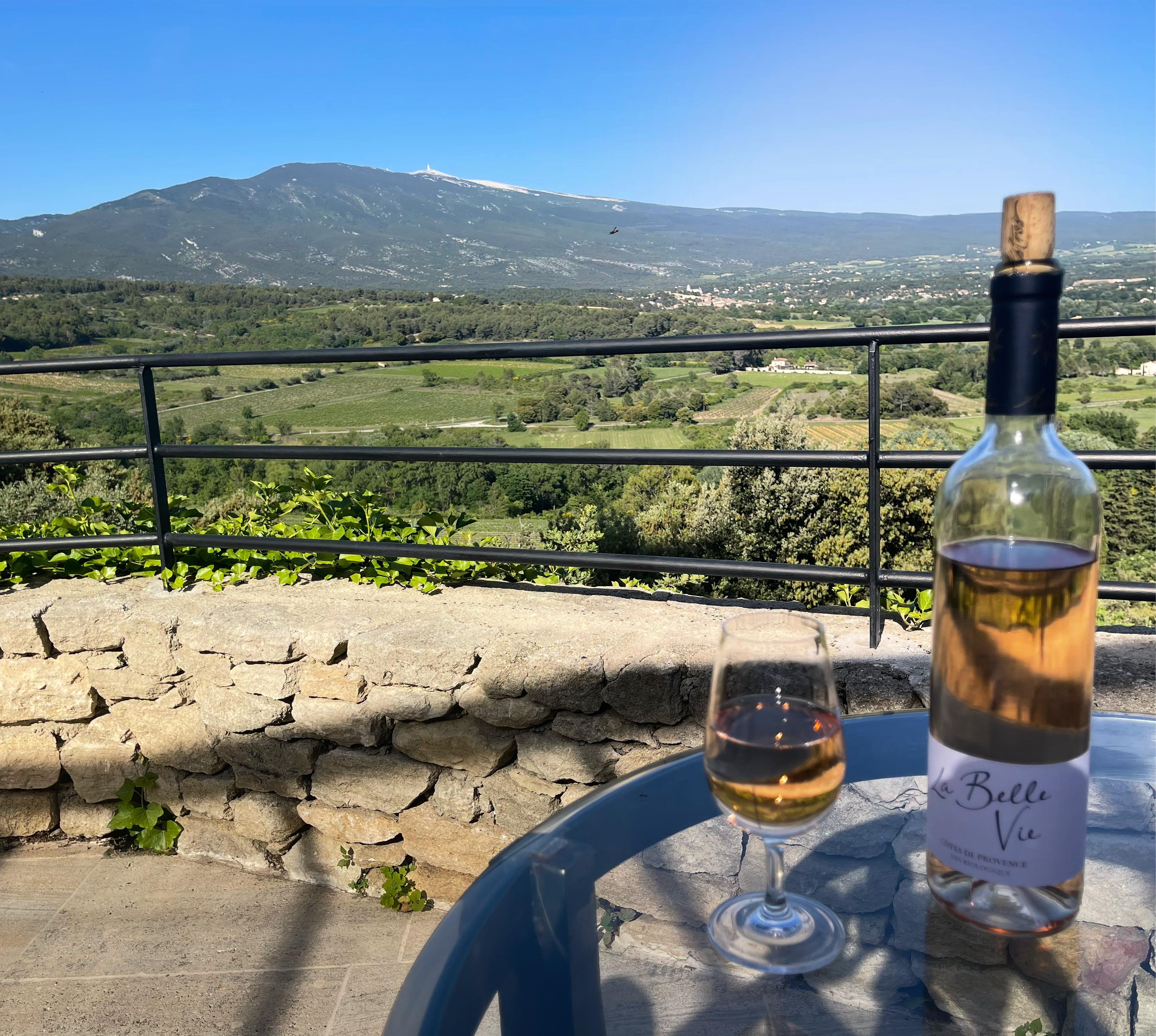 Relaxing with the view of Mt Ventoux