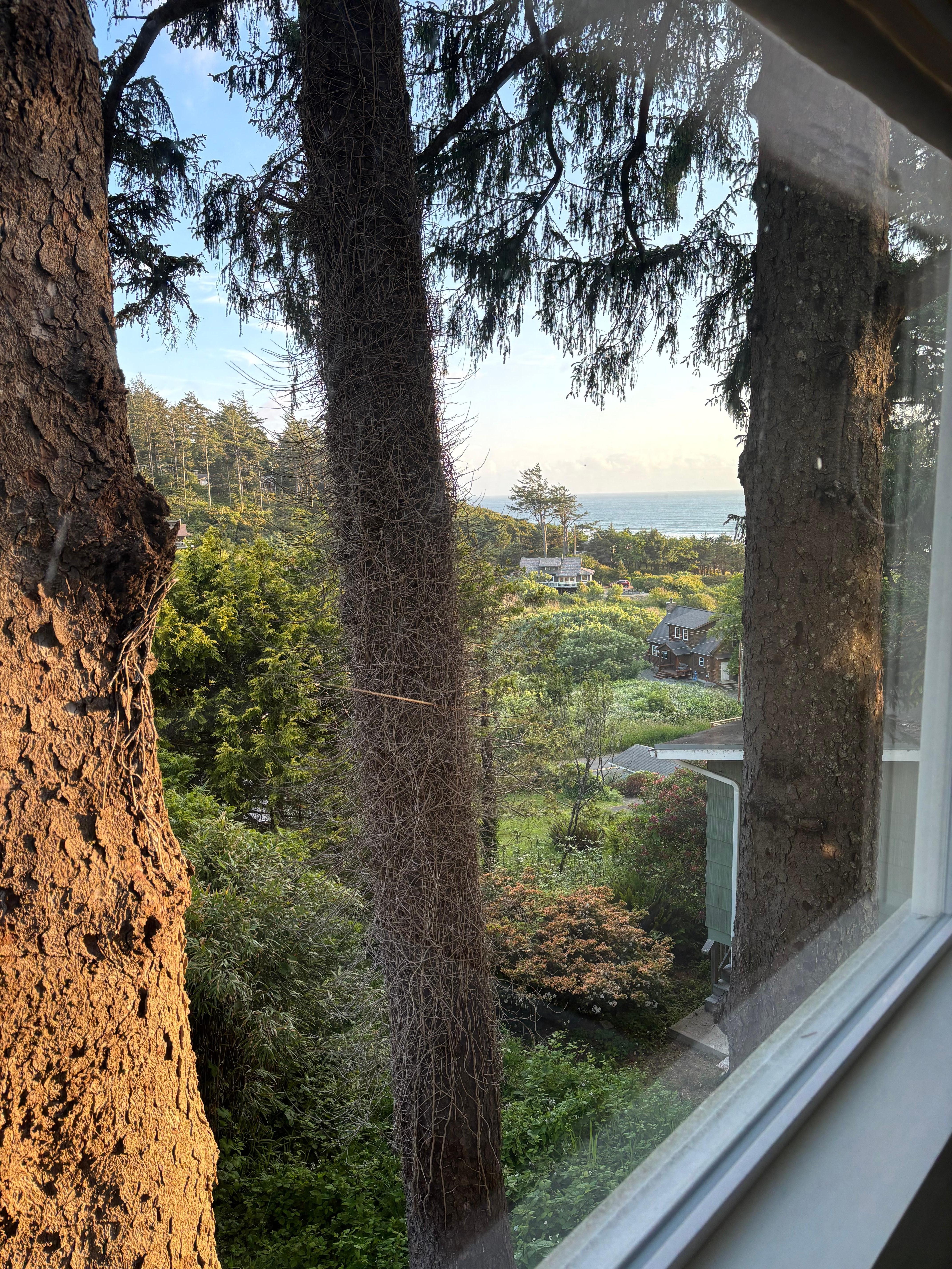 Views are better in person.  This is from the 2nd bedroom.