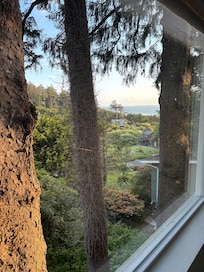 Views are better in person. This is from the 2nd bedroom.