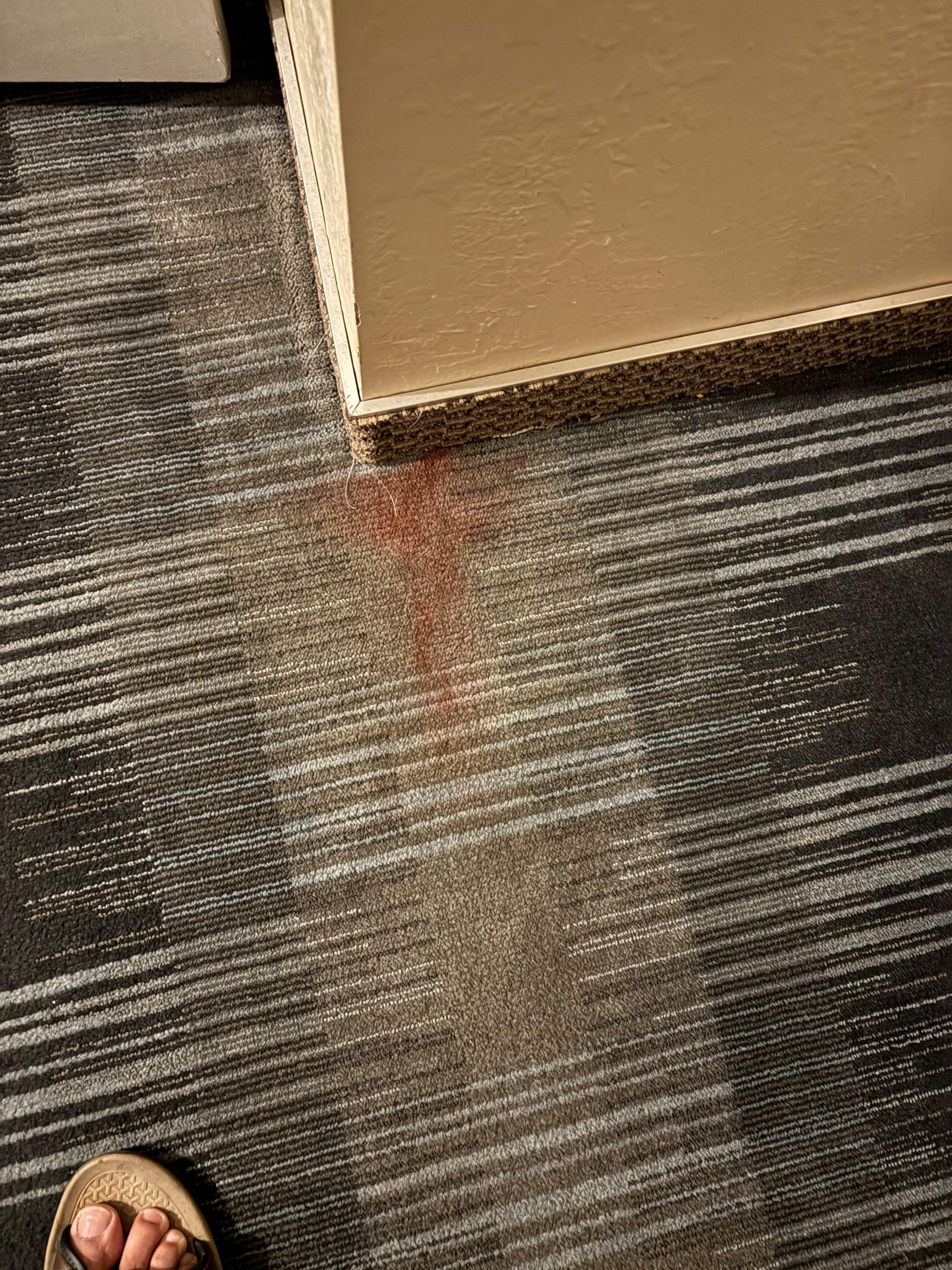 Seems blood on the floor carpet 