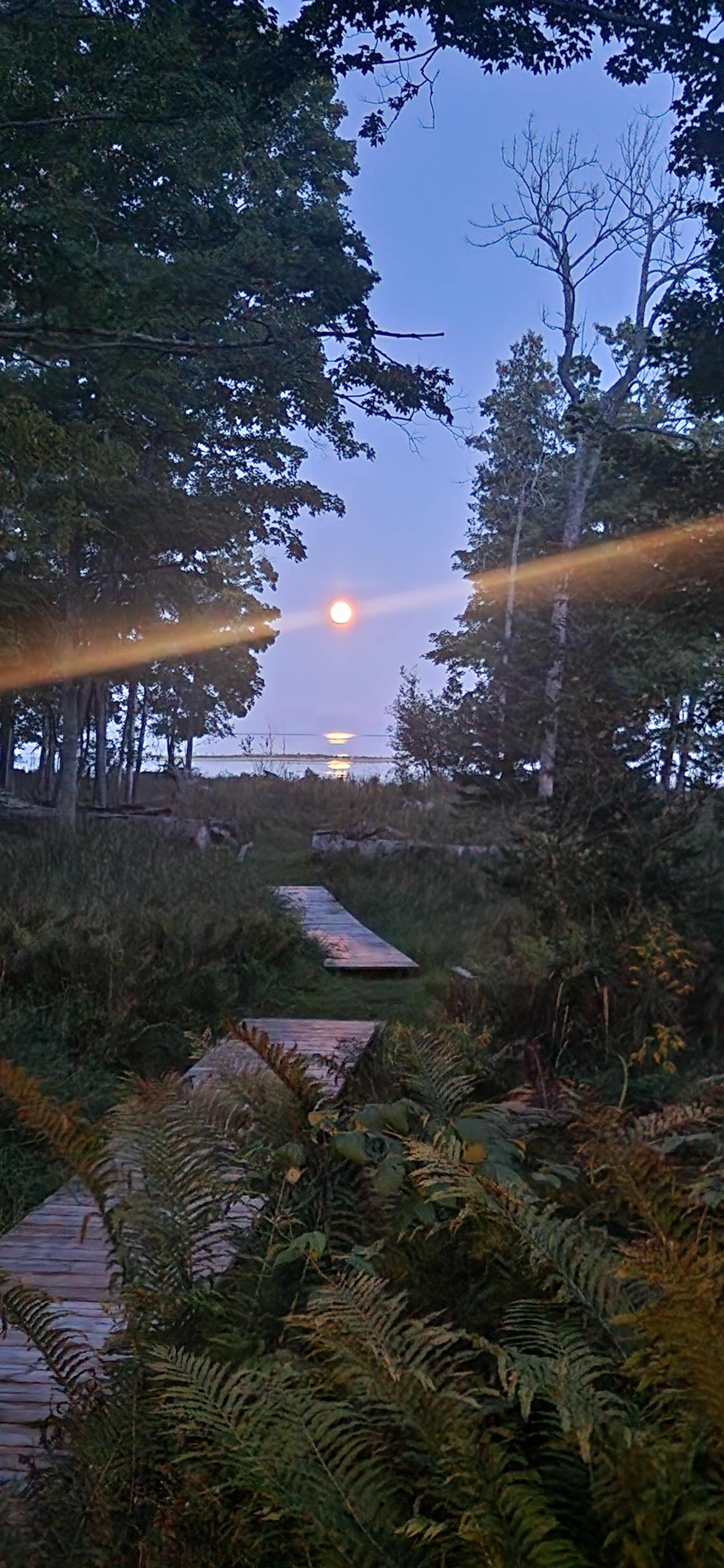 Full moon view from the cabin