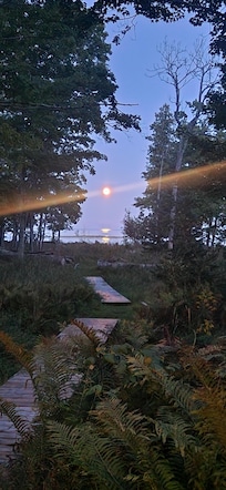 Full moon view from the cabin