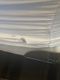 I owe several Airbnb's and I will never used ripped sheets