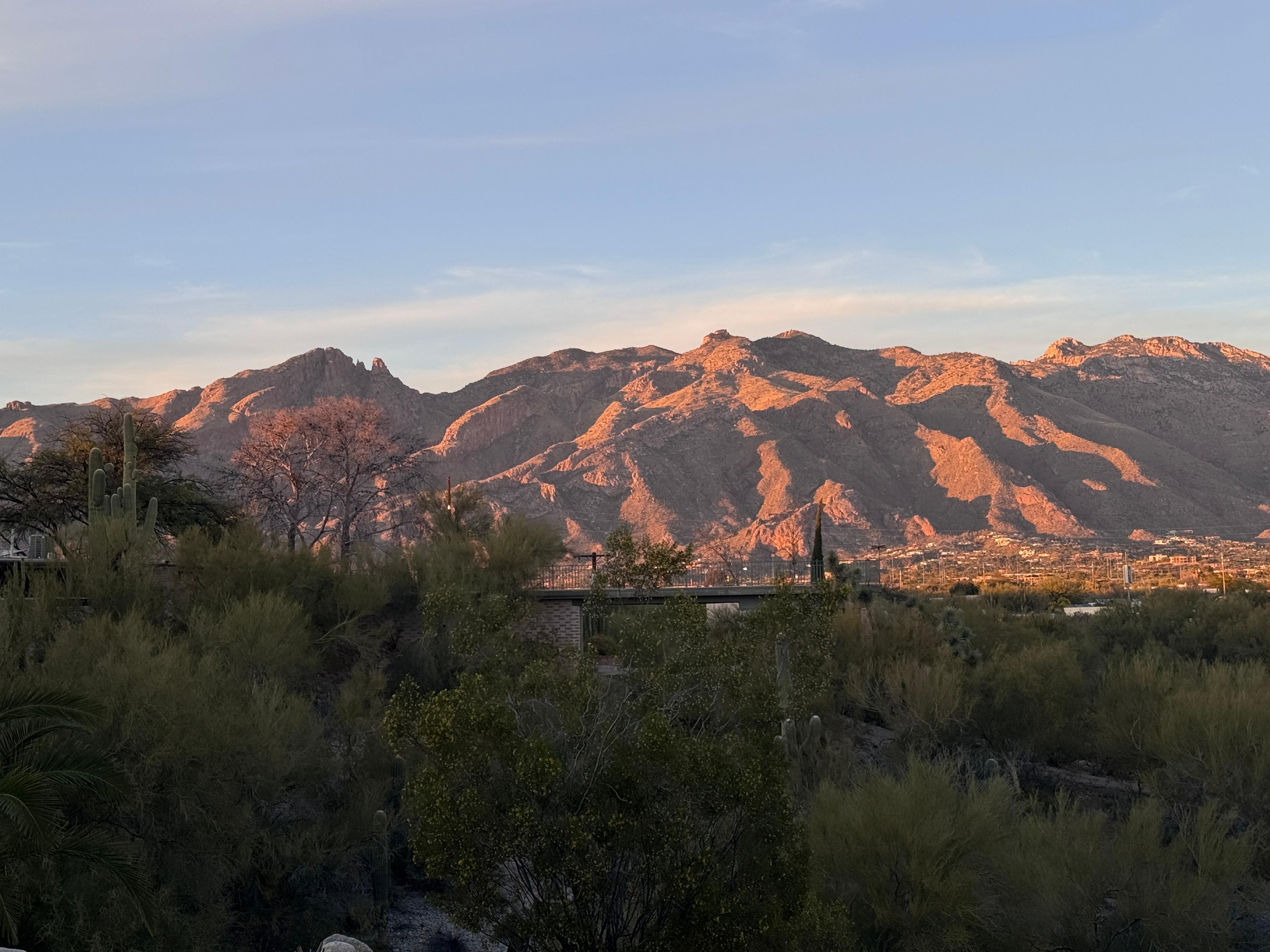 View from front door