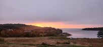 Morning view from room 116 in late september