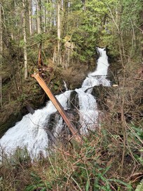 Steelhead falls