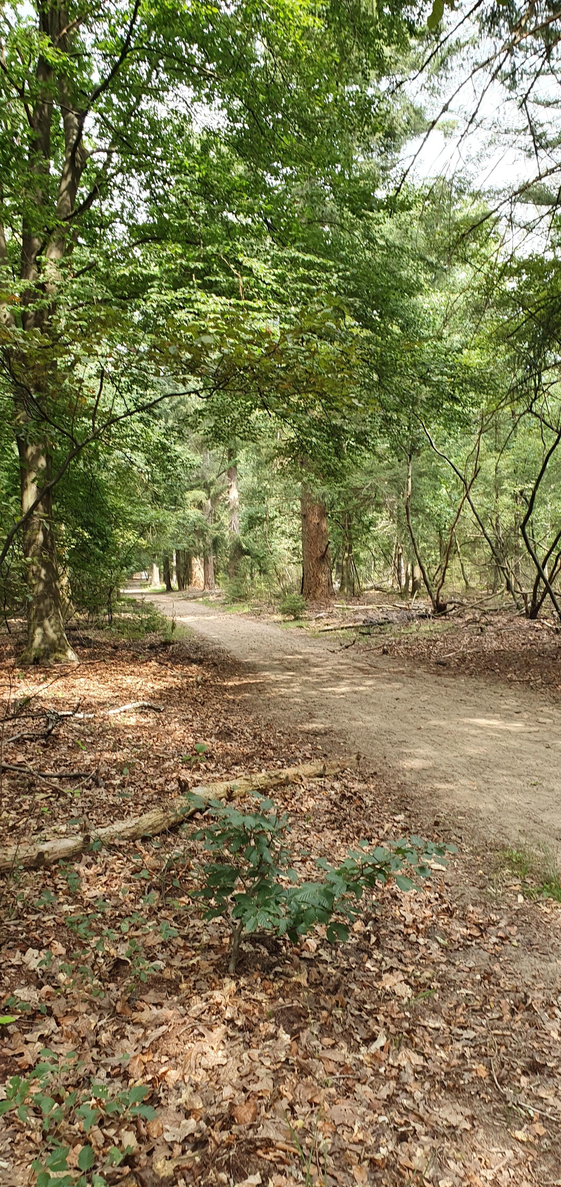 Veel wandelpaden rondom het hotel