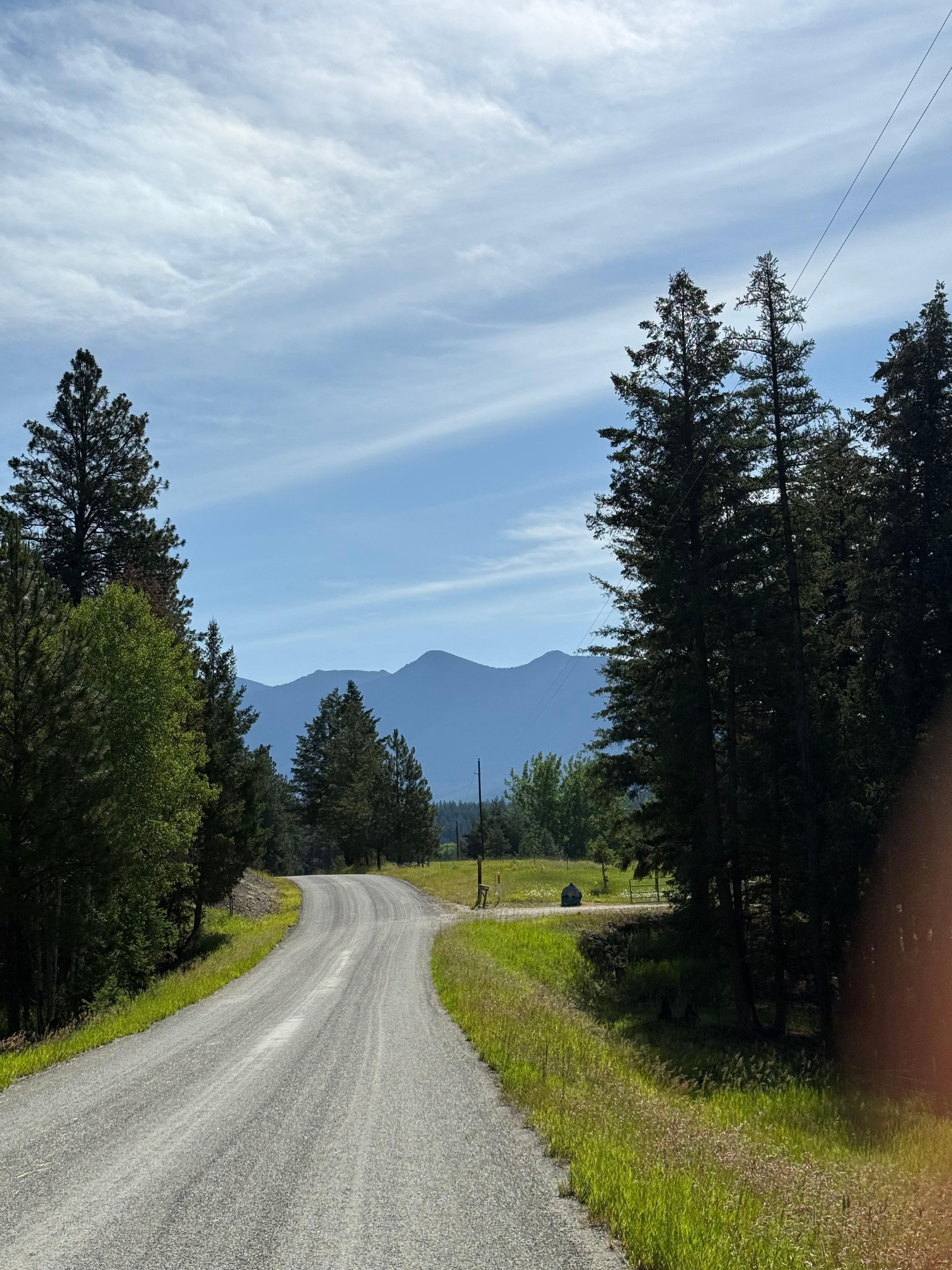 A view from our morning walk