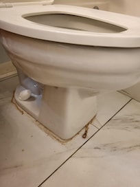 Leaking toilet