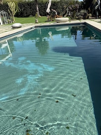 Footprints visible on the pool floor were left when we entered the pool on the night of check-in, not realizing we were stepping into algae residue settled along the bottom.