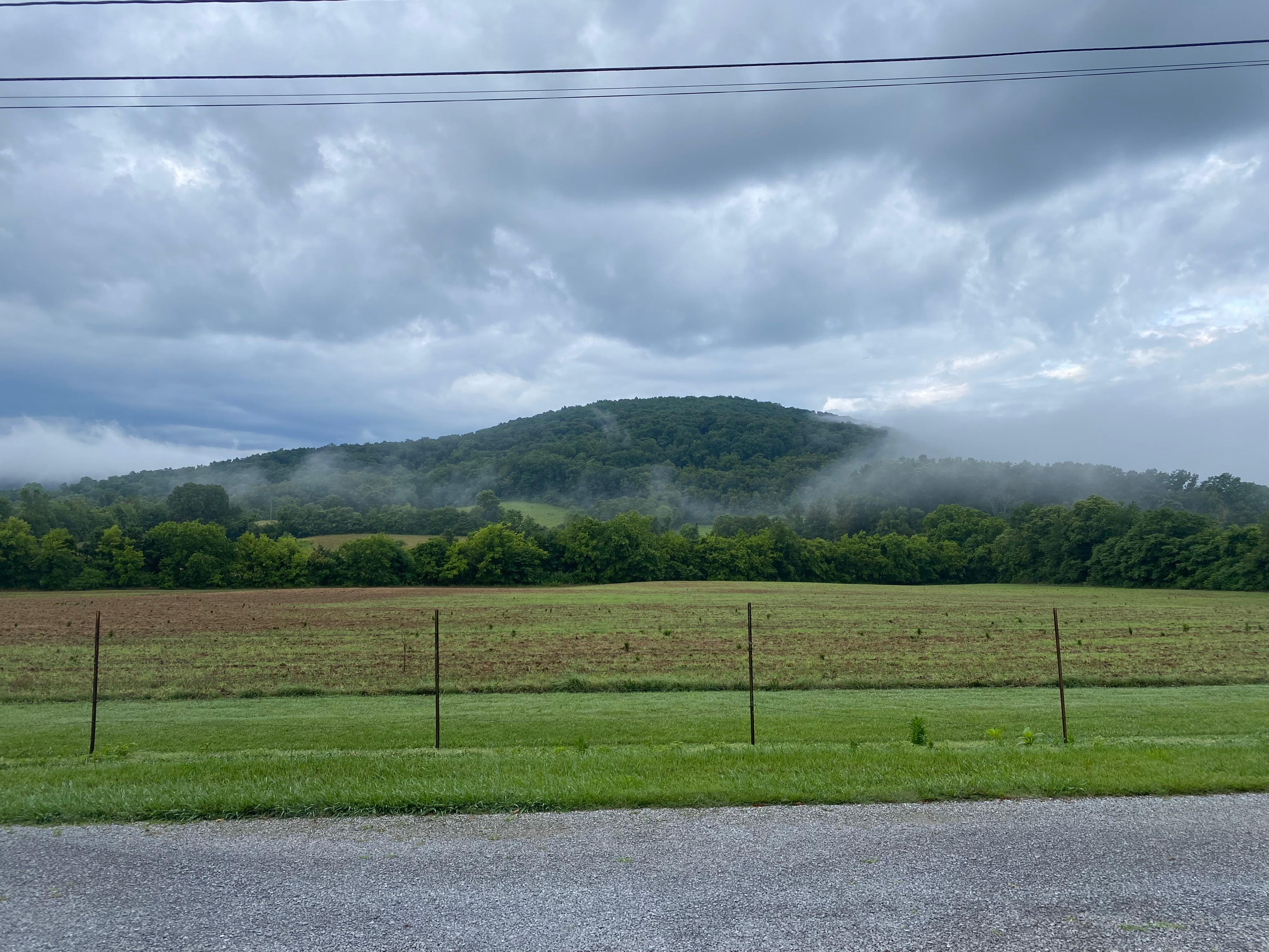View off the front porch