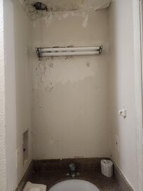 mold and mildew all over the walls/ceiling. Ceiling missing big chunk
