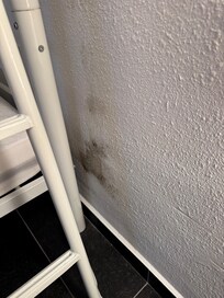 Schimmel im Schlafzimmer der Kinder