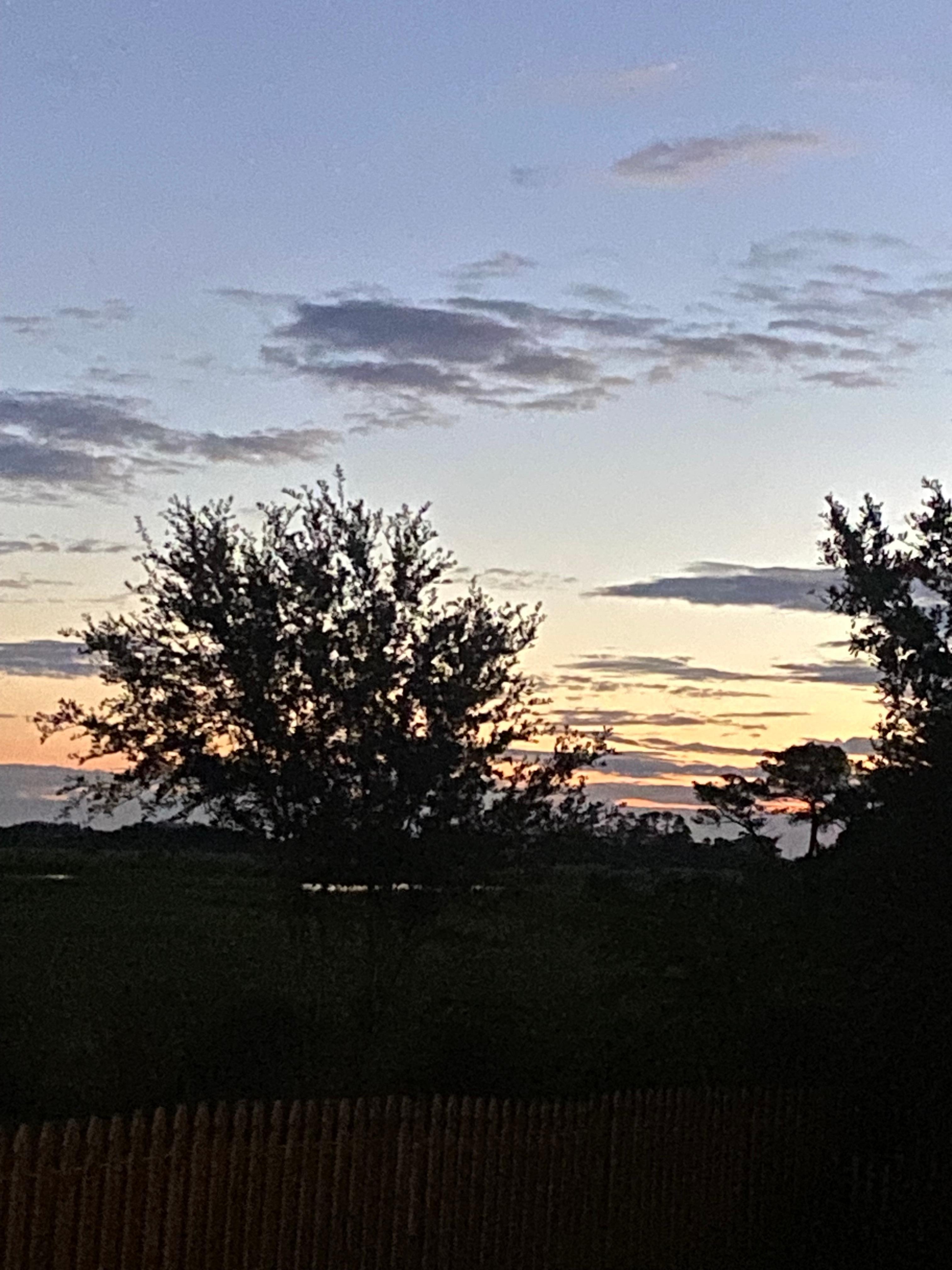 Sunrise on the marsh
