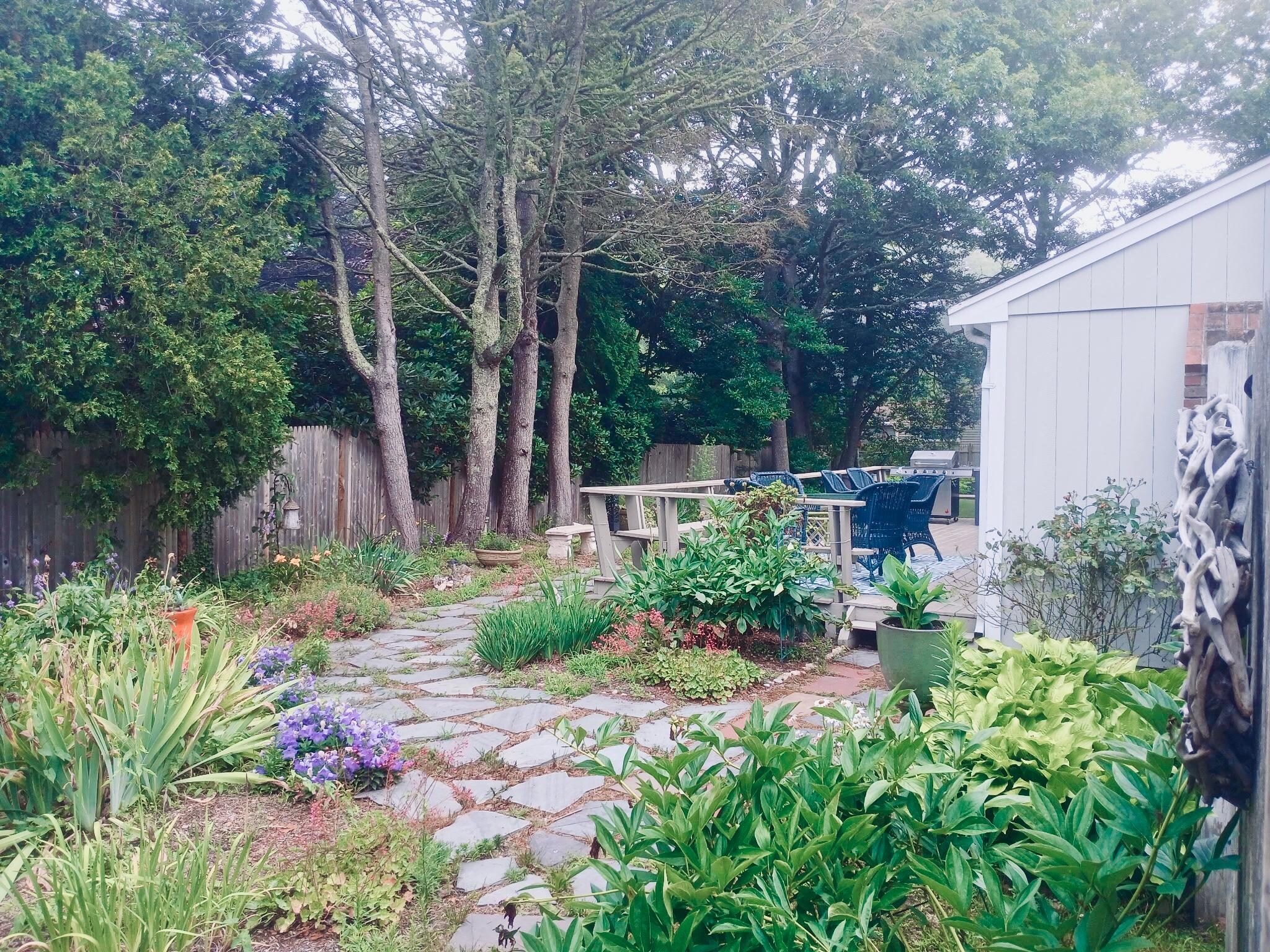 Safe area for kids to explore plants, bugs