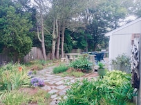 Safe area for kids to explore plants, bugs