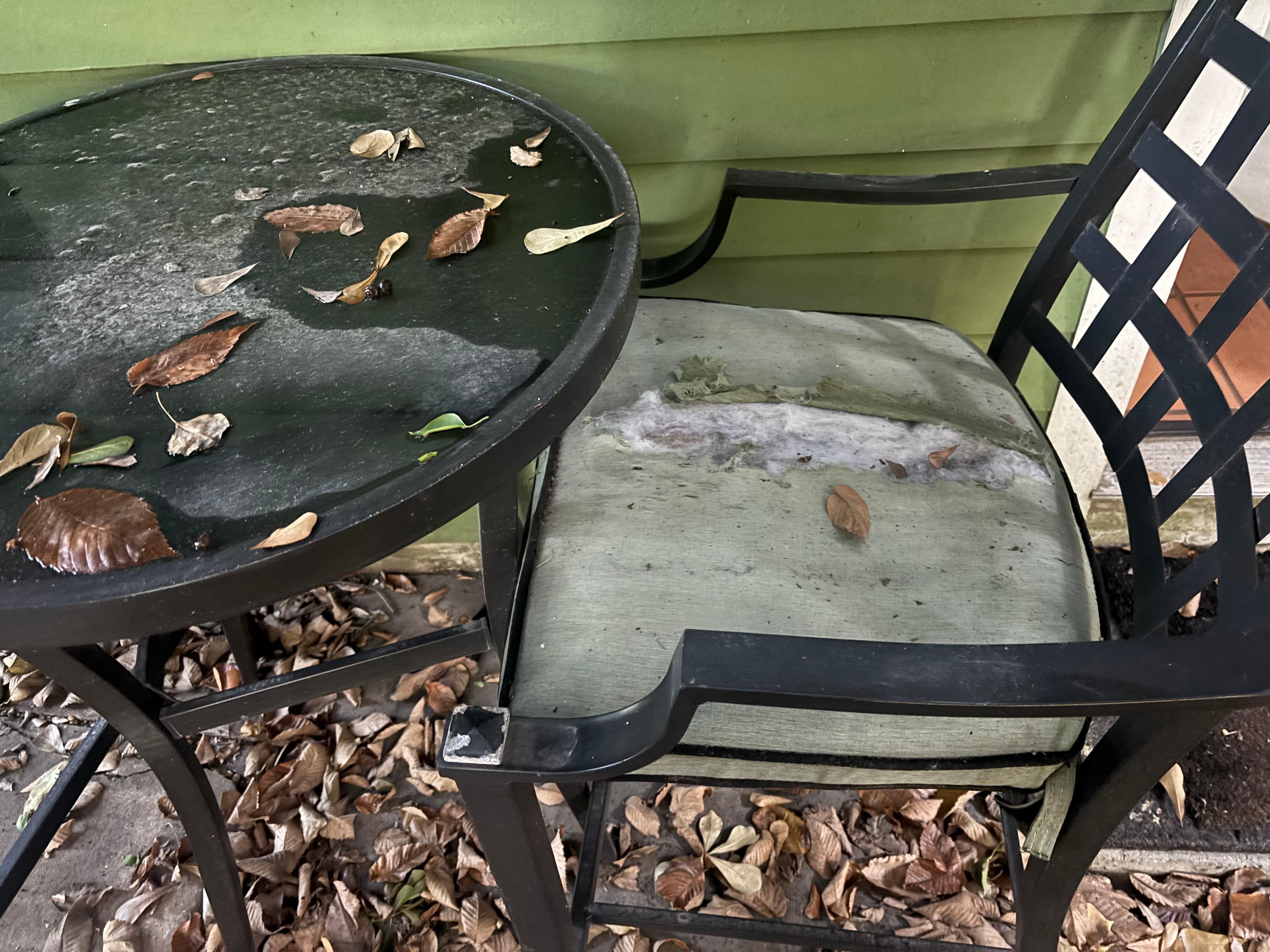 Nasty patio ripped chair 