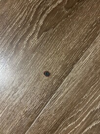 Blood on the floor
