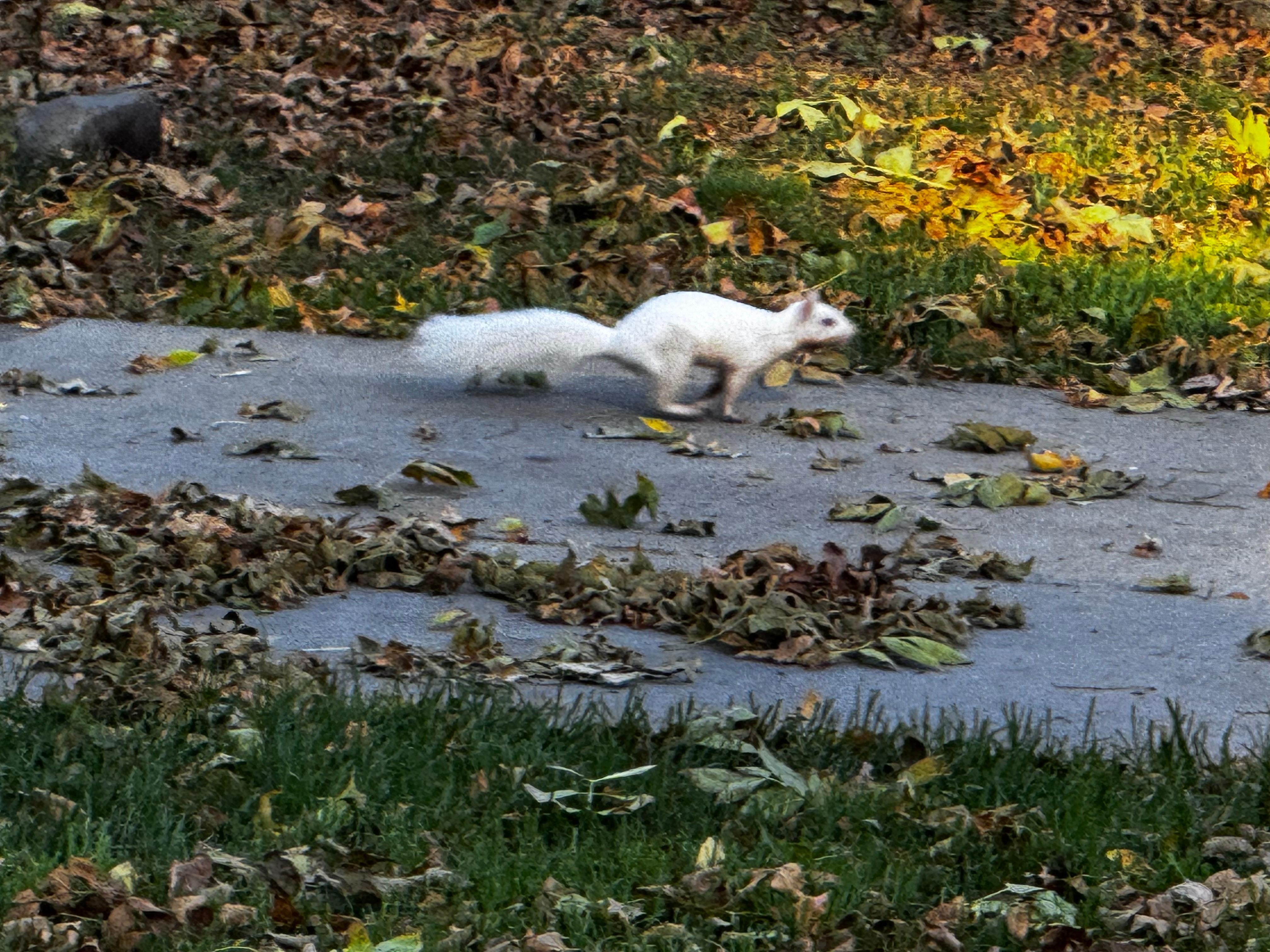 Just one of the special neighbors!