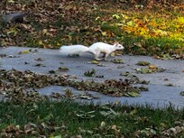 Just one of the special neighbors!