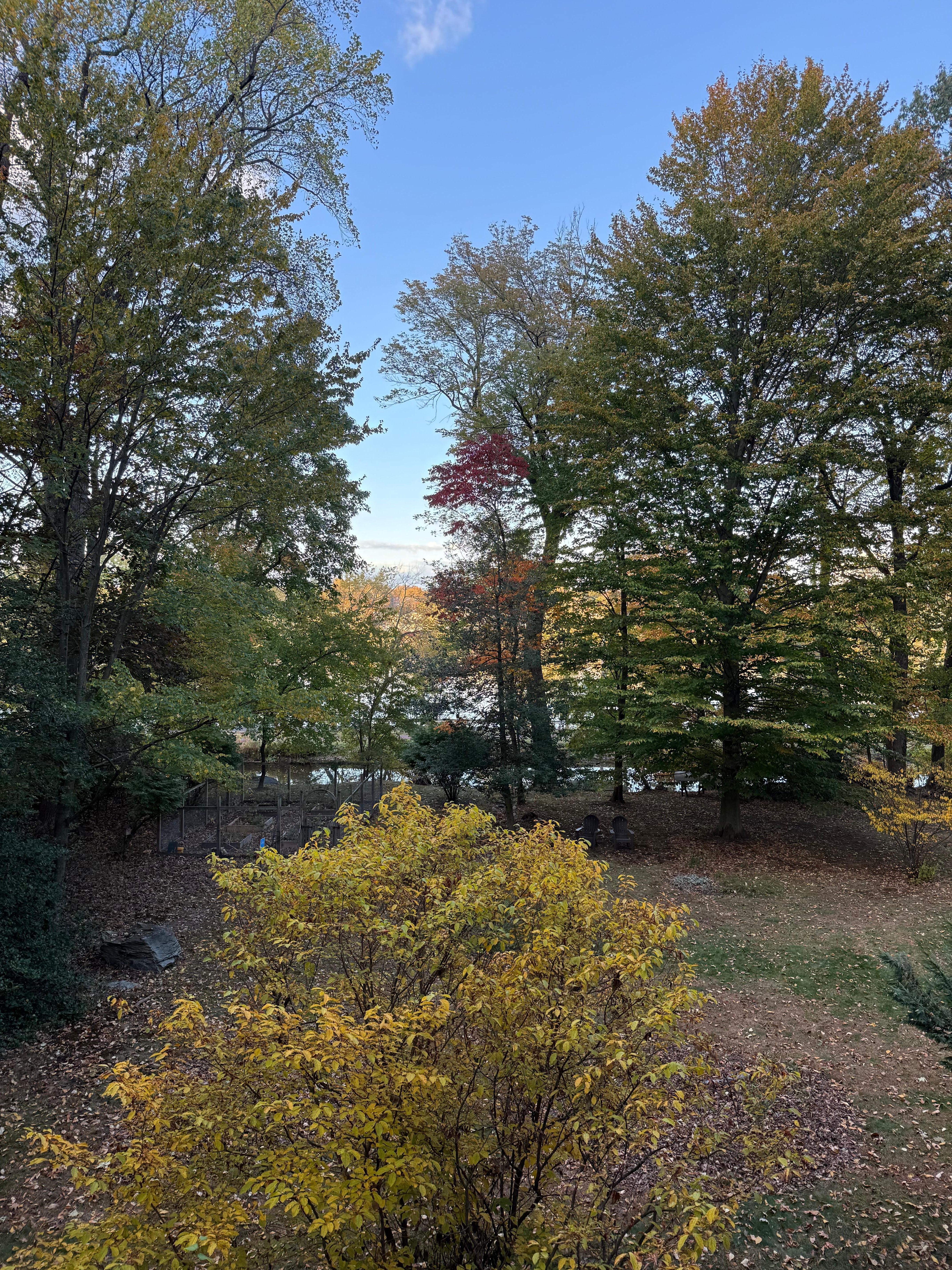 View from the stone wall enclosing the patio