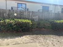 Back patio area