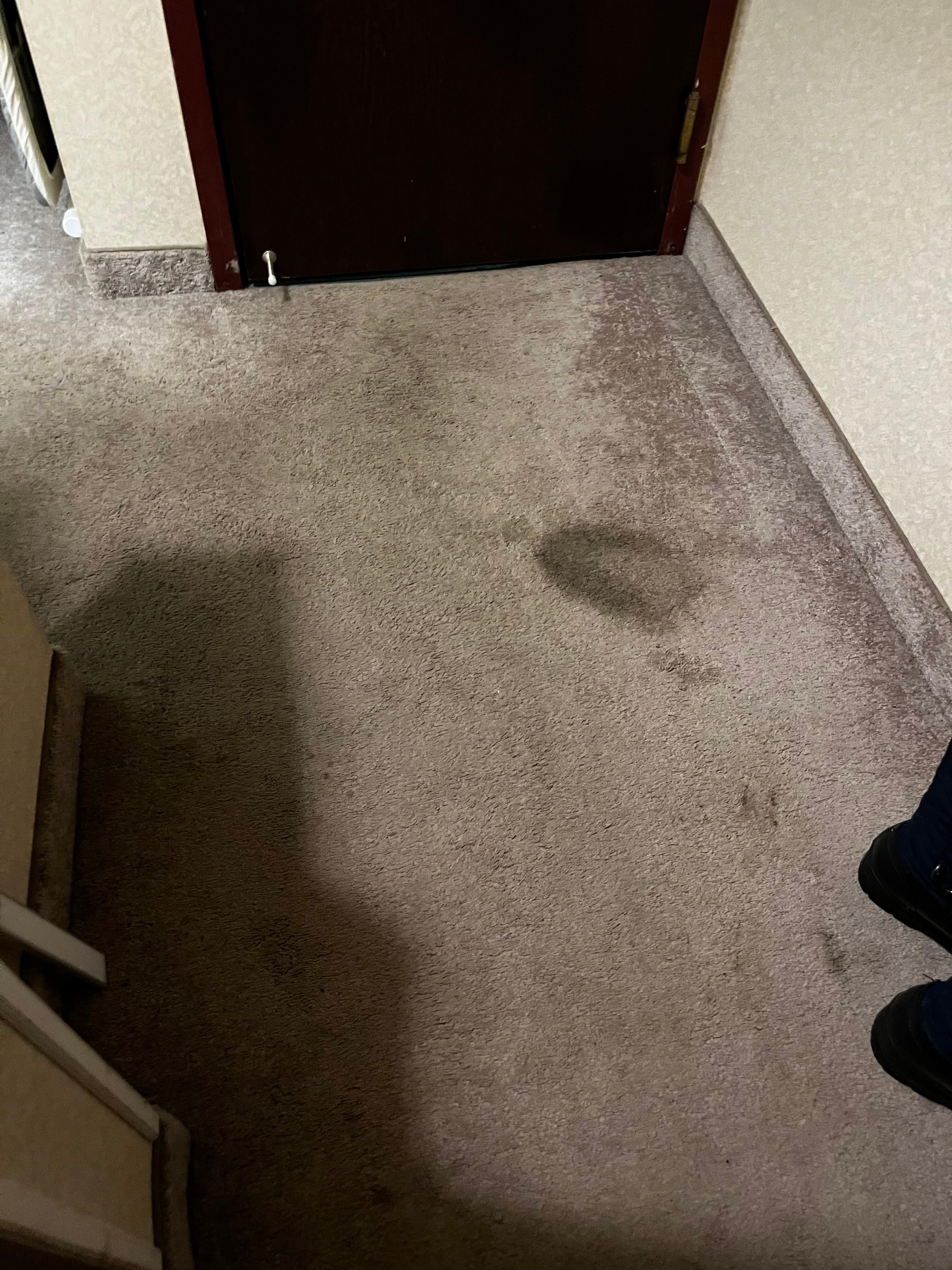 Large stain by door, dirty all over. 