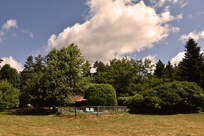 The grounds and the pool