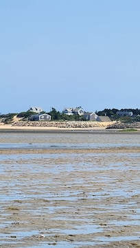 Out on the flats at low tide on Cape Cod bay.