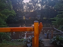 View of river from back deck.